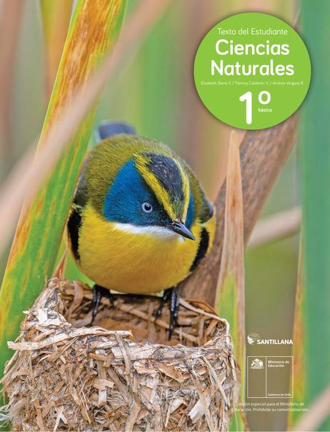 primero básico ciencias naturales texto del estudiante