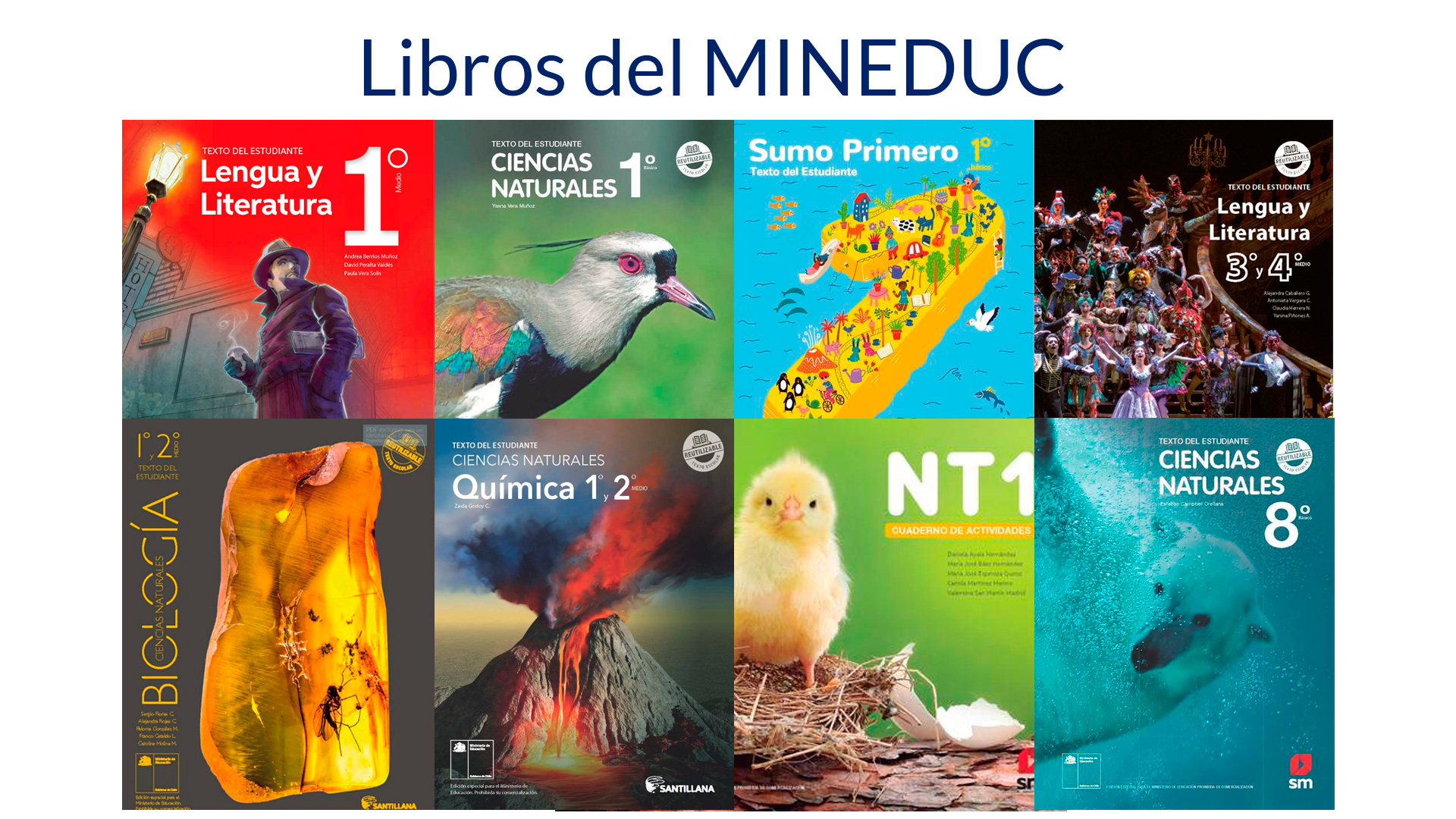 Libros del Mineduc